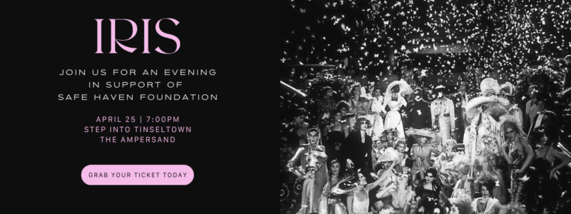 IRIS-SafeHaven-WebsiteBanner2